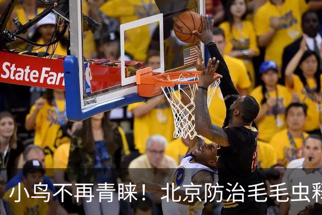 小鸟不再青睐！北京防治毛毛虫释放亿级小蜂